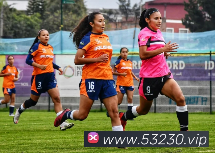 太阳集团城娱ccvip服务体系